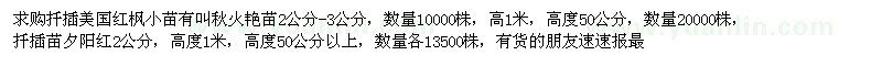 求購扦插美國紅楓小苗