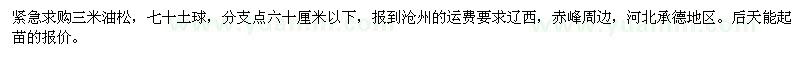 求購3米油松