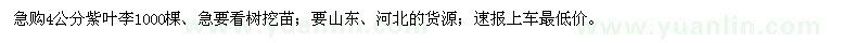 求購4公分紫葉李