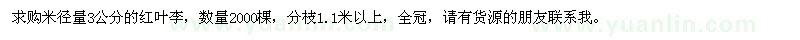 求購米徑量3公分紅葉李