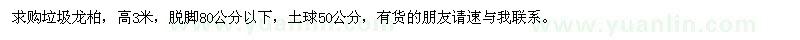 求購垃圾龍柏