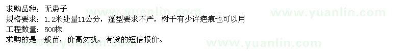 求購(gòu)胸徑11公分無(wú)患子