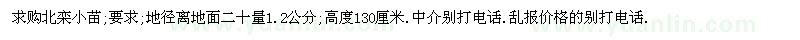 求購高130厘米北欒小苗