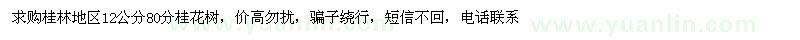 求購12公分桂花樹