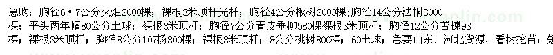 求購火炬、楸樹、法桐、青皮垂柳等