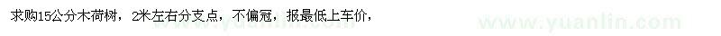 求購15公分木荷樹