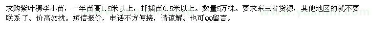求購高1.5米以上紫葉稠李小苗