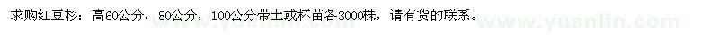 求購高60、80、100公分紅豆杉