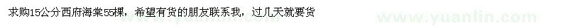 求購15公分西府海棠