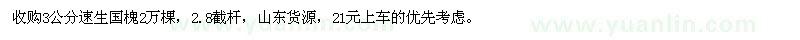 求購3公分速生國槐