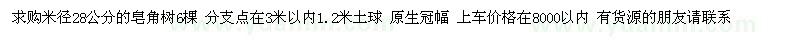 求購(gòu)米徑28公分皂角樹(shù)