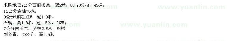 求購西府海棠、金桂、紫玉蘭