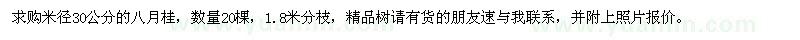 求購米徑30公分八月桂