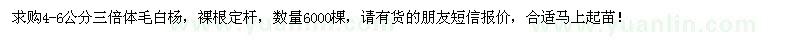求購4-6公分三倍體毛白楊