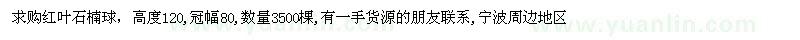 求購(gòu)紅葉石楠球