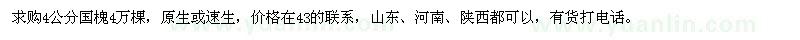 求購4公分國槐