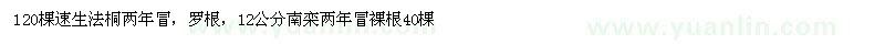 求購10公分法桐兩年冒