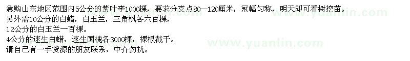 求購紫葉李、白蠟、三角楓