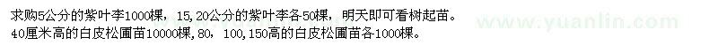 求購紫葉李、白皮松