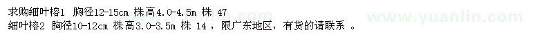 求購(gòu)胸徑10-12、12-15公分細(xì)葉榕
