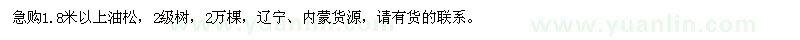 求購(gòu)1.8米以上油松 