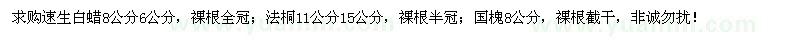 求購(gòu)速生白蠟、法桐、國(guó)槐