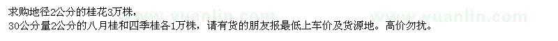 求購桂花、八月桂、四季桂
