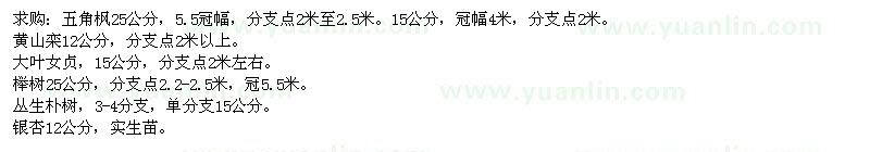 求購(gòu)五角楓、黃山欒、大葉女貞