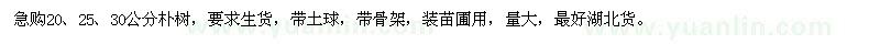 求購20、25、30公分樸樹