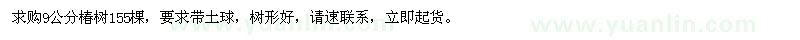 求購9公分椿樹
