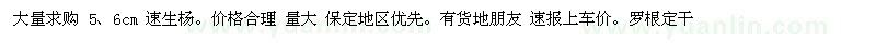 求購5、6公分速生楊