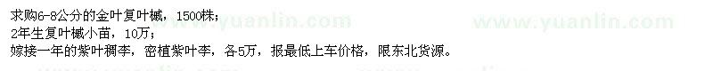 求購金葉復葉槭、復葉槭小苗、紫葉稠李