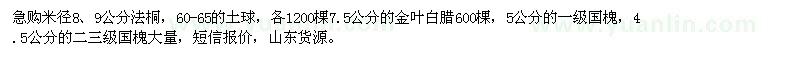 求購(gòu)法桐、金葉白臘、國(guó)槐