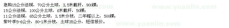 求購法桐