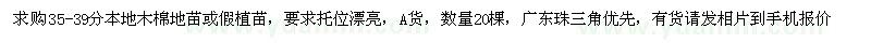 求購35-39公分本地木棉地苗或假植苗