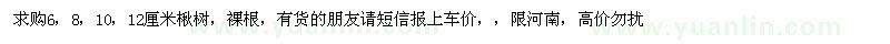 求購(gòu)6、8、10、12公分楸樹(shù)