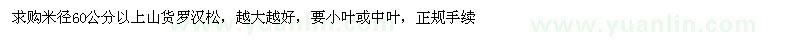 求購米徑60公分以上山貨羅漢松