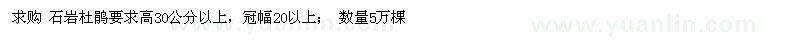 求購高30公分以上石巖杜鵑
