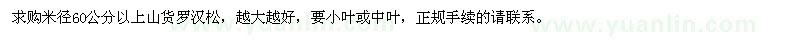 求購米徑60公分以上羅漢松