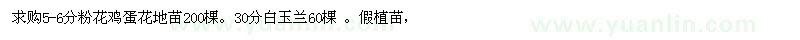 求購(gòu)粉花雞蛋花、白玉蘭