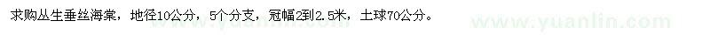 求購叢生垂絲海棠