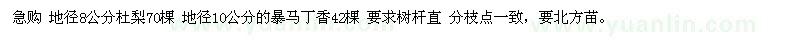 求購地徑8公分杜梨、地徑10公分暴馬丁香