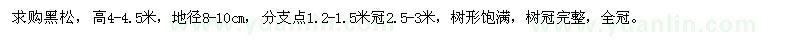 求購高4-4.5米黑松