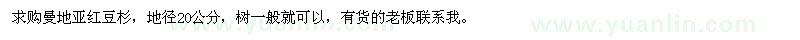 求購地徑20公分曼地亞紅豆杉