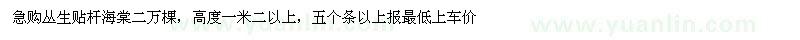 求購叢生貼桿海棠