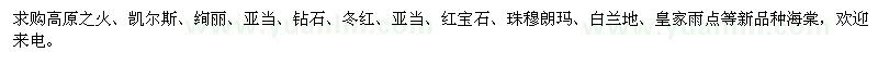求購高原之火、凱爾斯、絢麗、亞當(dāng)?shù)雀鞣N海棠苗