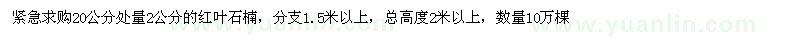 求購20公分處量2公分紅葉石楠