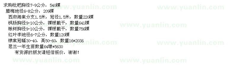 求購枇杷、臘梅、西府海棠、楓楊等苗木