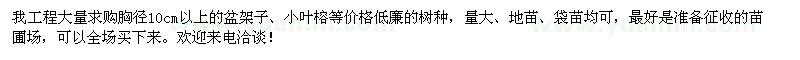 求購(gòu)盆架子、小葉榕
