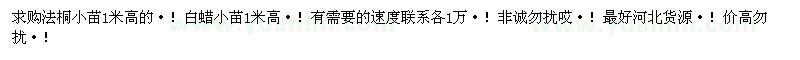求購高1米法桐小苗、白蠟小苗